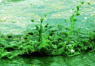 死水最新爆料,最新爆料揭露惊人内幕  第2张